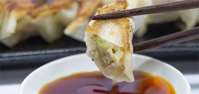 お土産に浜松餃子をプレゼント